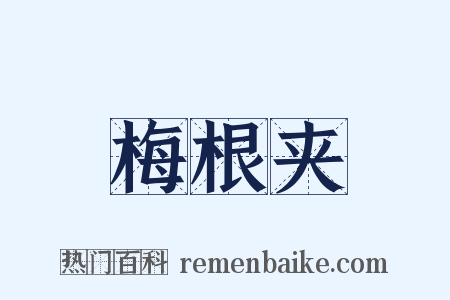 梅根夹是什么意思的图片